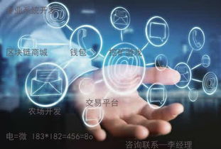 趣步系統(tǒng)定制與軟件系統(tǒng)定制開(kāi)發(fā) 專業(yè)解決方案與應(yīng)用前景